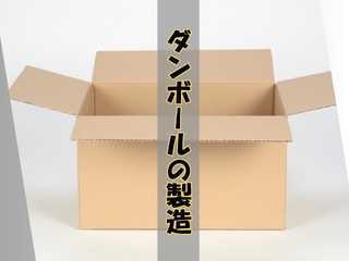 281363504